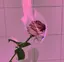 りなのプロフィール画像