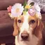 Mariaのプロフィール画像