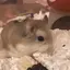 パチ○のプロフィール画像