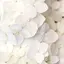 kのプロフィール画像