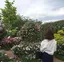 ほのかのプロフィール画像