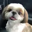 ゆのプロフィール画像