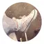 あやのプロフィール画像