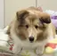 のんのプロフィール画像