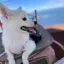nagiのプロフィール画像