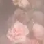 ぱるちゃんのプロフィール画像