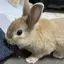 みさきのプロフィール画像