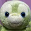 🐢のプロフィール画像