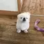 ぁのプロフィール画像