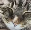 ゆっひぃのプロフィール画像