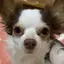 たがたのプロフィール画像