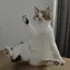 りえのプロフィール画像