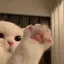 Mのプロフィール画像