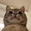 nのプロフィール画像