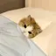 すずかのプロフィール画像