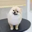 ruのプロフィール画像