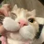 あのプロフィール画像