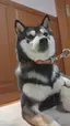 さきぃのプロフィール画像