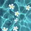 Nのプロフィール画像