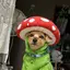 佐藤のプロフィール画像