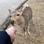たくみのプロフィール画像