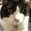 さおりのプロフィール画像