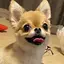 ゆうなのプロフィール画像