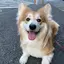 うみのプロフィール画像