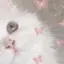 愛花のプロフィール画像