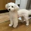 みーのプロフィール画像