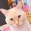 あやのプロフィール画像
