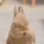 まりのプロフィール画像