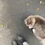 ノリカのプロフィール画像