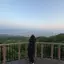 honokaのプロフィール画像