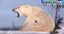 ああのプロフィール画像