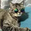 るるのプロフィール画像