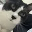 そらちゃんのプロフィール画像