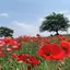 千裕のプロフィール画像