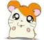 まいまいのプロフィール画像