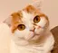 りりちゃんのプロフィール画像
