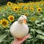 りーのプロフィール画像