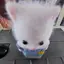 nr.のプロフィール画像