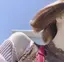 たんのプロフィール画像