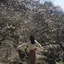 なつのプロフィール画像