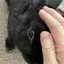 ねっこのプロフィール画像