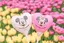 mi.のプロフィール画像
