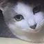 千穂のプロフィール画像