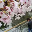 たにのプロフィール画像