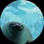 ふみのプロフィール画像