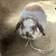 Sのプロフィール画像